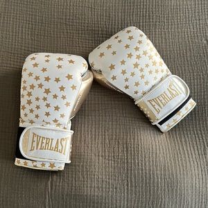 NWOB everlast leather boxing gloves